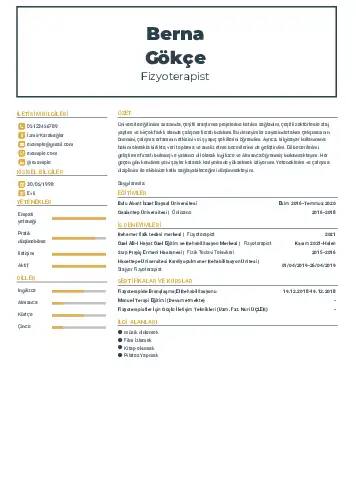 Fizyoterapist Cv Örnekleri cv indir